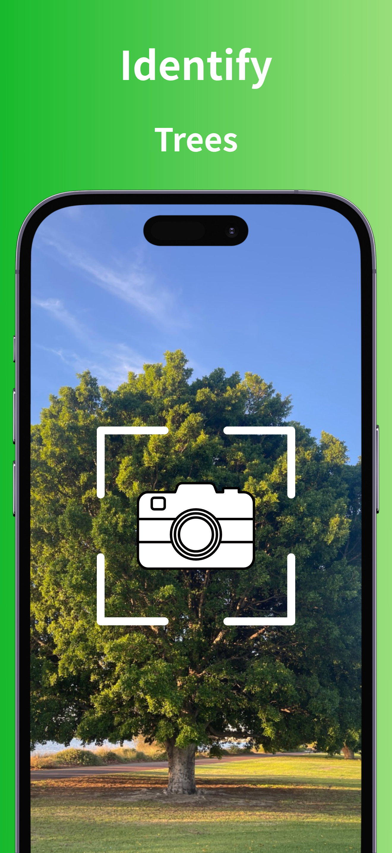 Tree Identification App Screenshot